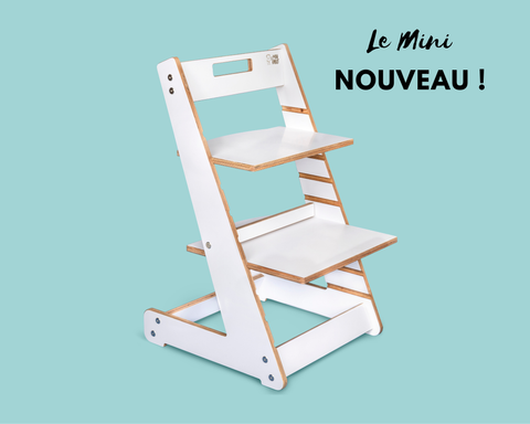 Le Mini Propre - Adjustable wooden toilet bench for children