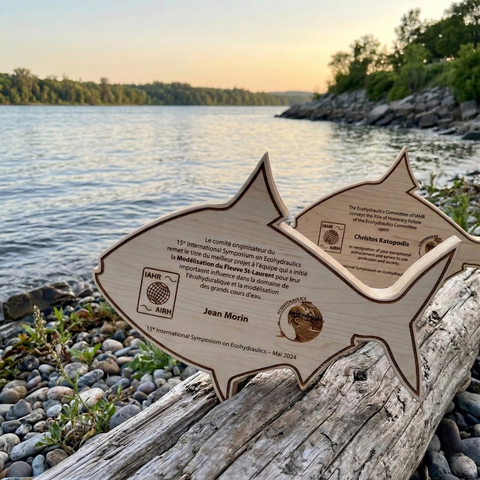 Plaque de reconnaissance personnalisée